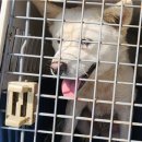 봉곡동042 이미지