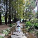 지에스25 양평양산점 | 있는 사진으로 있는 만큼만 쓰는 양평 양수리 가볼만한 곳 세미원 다녀온 후기 아이들과 함께