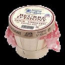 버터(Butter)