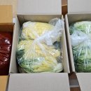 창원 금속노조 절인배추+양념 25.12.10 이미지