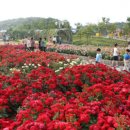 연보라㈜ 이미지