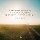 [CTS 말씀이미지] 요한복음 14장 6절 #말씀이미지 #감경철 #CTS #핸드폰배경화면 이미지