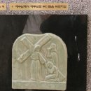 천주교 신정동 성당 이미지