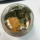 (주)동성모터스 창원서비스센타 | 3월의 마지막 주 일상기록(3/23-3/31)