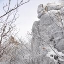 근교산&그너머 ＜755＞ 단양 소백산 국망봉 이미지