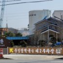 청주막국수