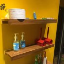 청춘 고양이 카페 이미지