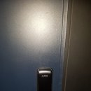 플러스디앤티