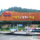 영남디앤지 네이버블로그