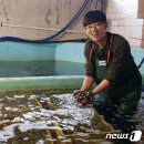총각유통