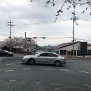 장수농협주유소 이미지