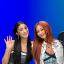 다나정보 이미지