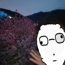박정희로 | [묵호 관광지] 라벤더축제, 무릉별유천지/舊쇄석장 방문 후기 (feat. 박정희대통령 사진 구경)_250621