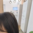 엘시크 이미지