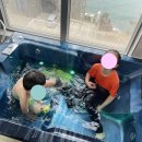 카라스파펜션 이미지