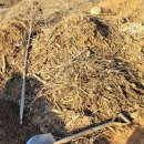 사남매농장2 이미지