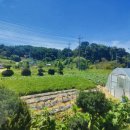 상경숯불갈비 이미지