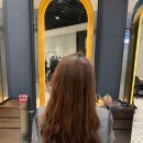 차이헤어살롱 이미지