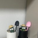 소연다육이