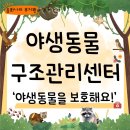 경기도야생동물구조관리센터 | [평택유치원] 자연과 생명을 배우는 시간. 경기도 야생동물구조관리센터!