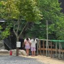동산 계곡 평상대여 군위 솔밭야영장으로 아이들데리고 즐거운 여행 다녀온 후기