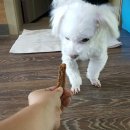 쁨이네 이미지