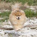 자양동물병원 이미지