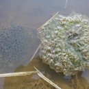 명원농장 이미지