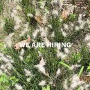 건축사사무소 플로라앤파우나 | 채용공고_플로라 앤 파우나 FLORA AND FAUNA