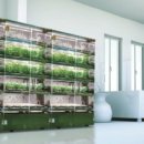 디지털타운 이미지