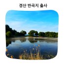 자인공설시장 | 가만히 걷기만 해도 힐링되는 공간 경산 반곡지 출사후기