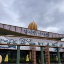 수목어린이공원 | 성주 실내 어린이 체험관 / 성주 아이랑 무료로 가볼만한 곳 성주참외체험형테마공원(+예약방법,링크)