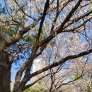 귀인동-4 이미지