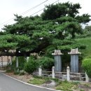 족발신선생밀양삼문점 | 삼층석탑, 진양효자리조선조팔각형고분군, 영사재, 심호섭선생 독립만세 고창 유지비, 진주농민항쟁 기념비
