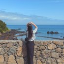 주식회사 더세이프렌터카 | 제주 렌트카 할인 제주공항 자유 렌트카 더세이프렌터카