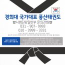 경희대국가대표 풍산태권도장 이미지