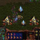 벙커속의저글링 이미지