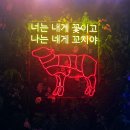 경기광주 맛집 태전동 신백옥 양꼬치