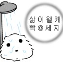 현미사 이미지