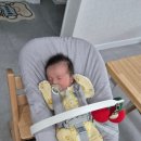 뉴본 | [아기의자] 트립트랩 내츄럴 색상 직구 - 신생아 뉴본 추천 &amp; 사용 후기