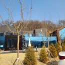 카페,인삼로