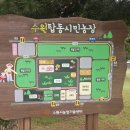 탑동농장 | 잘 다니고 EP.11 - 수원 탑동 시민농장 방문 후기 도심 속 힐링 산책 명소 추천
