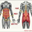 저스트코어