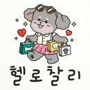 헬로찰리