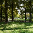 만석거삼거리 이미지