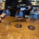 규이치 프리미엄 이미지