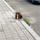 우진한방삼계탕 | 보양식한상 든든한 안산 우진한방삼계탕