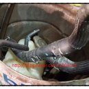 월성카서비스 이미지