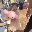 오산 고인돌공원 장미축제 후기