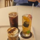 태풍회선어